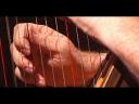 carolans-dream_0001.jpg